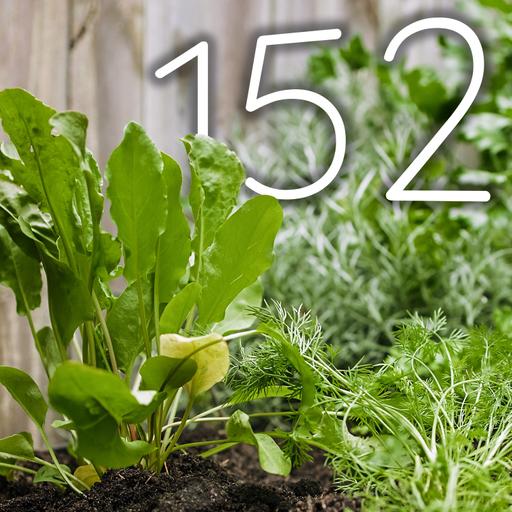 152 - July Harvests & Herb Garden Magic