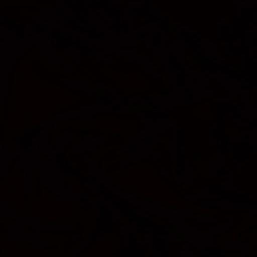 The Dark
