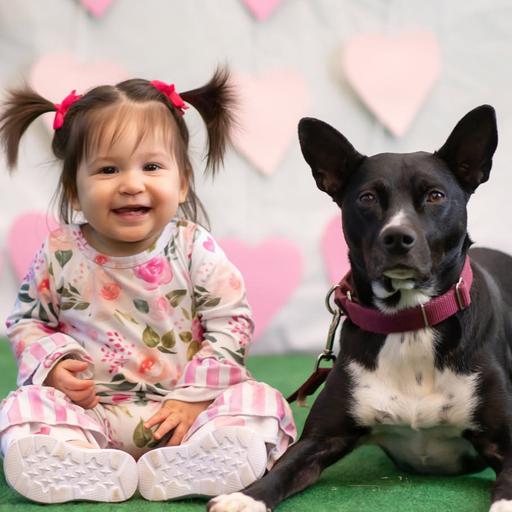 240: Helping Toddlers & Dogs Be Successful Together Part 2