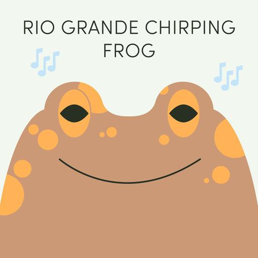 Week of July 7th | Rio Grande Chirping Frog