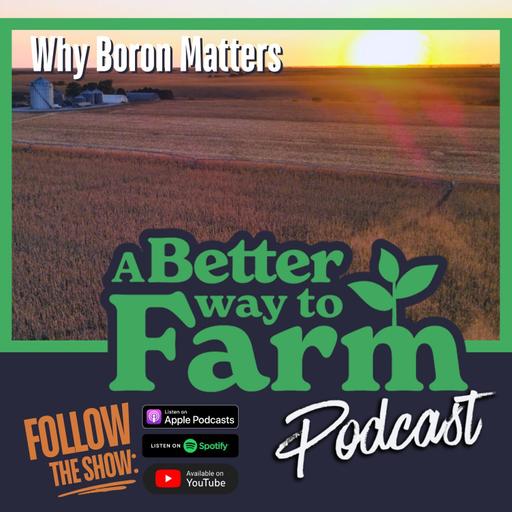 313: Why Boron Matters