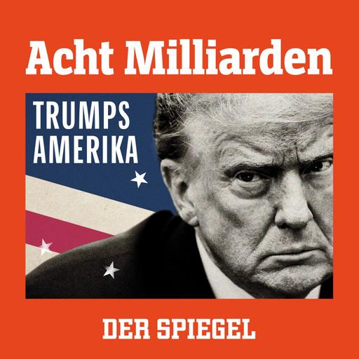 Musk gegen Trump: Eine dritte Partei für Amerika
