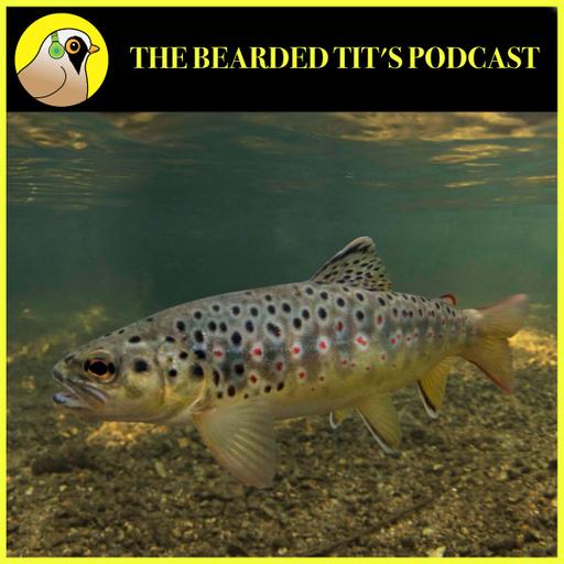 Using AI to Record Fish Numbers ft Jeff Tuhtan #170