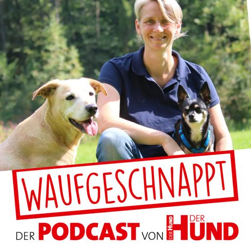 Gelassenheit im Hundetraining - Anja Petrick
