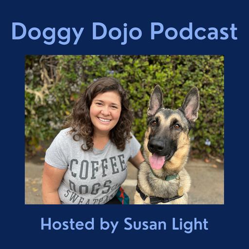 How to Socialize Your Puppy with Dr Lauren Vaughan