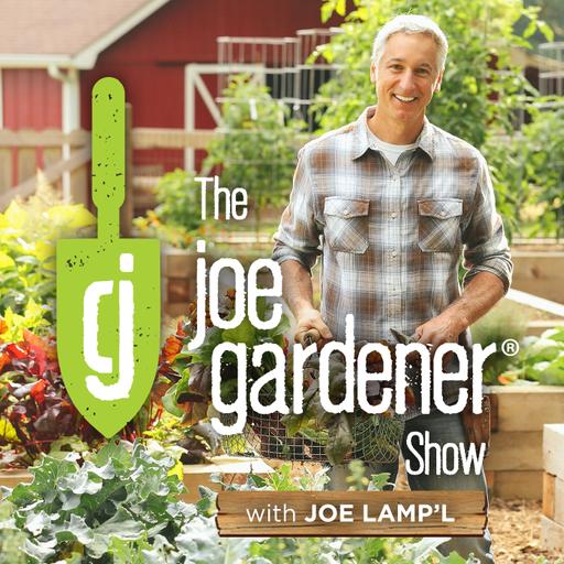 425-Joe’s Summer Garden Reflections-Encore Presentation