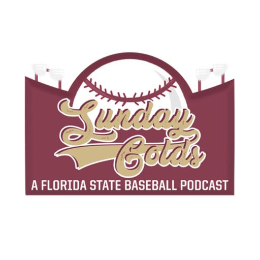 Episode 156: MLB Draft Preview, Transfer Portal Updates, Vision for FSU Baseball ft. Randy Burdette
