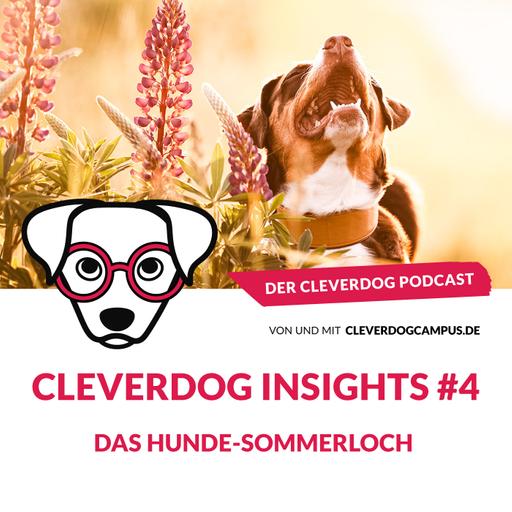 Cleverdog Insights #4 – Das Hunde-Sommerloch