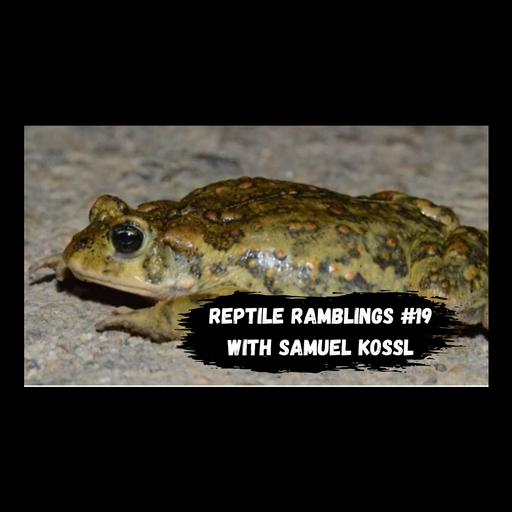 Herping Coast to Coast with Sam Kossl | Reptile Ramblings #19