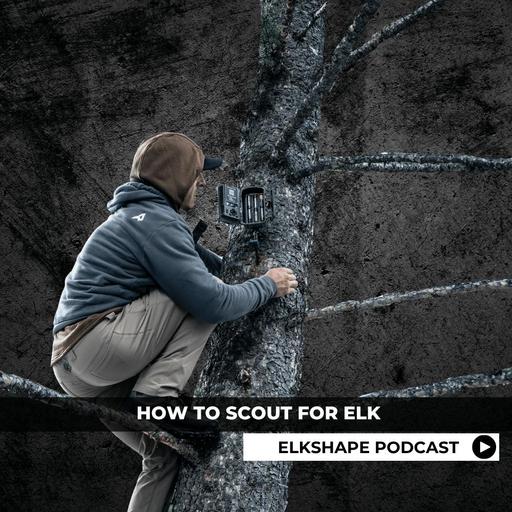 ELKSHAPE Podcast - How to Scout for Elk