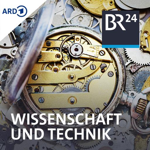 Aufteilung von Hausarbeit - Stressfaktor für Beziehungen?