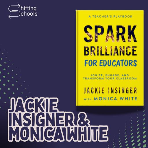 What does it mean to 'spark brilliance' in schools?