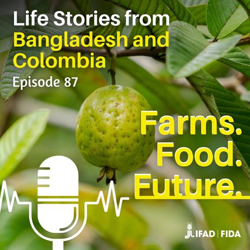 Life stories from Bangladesh and Colombia