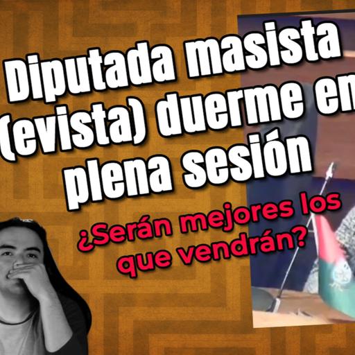 Diputada dormida en plena sesión