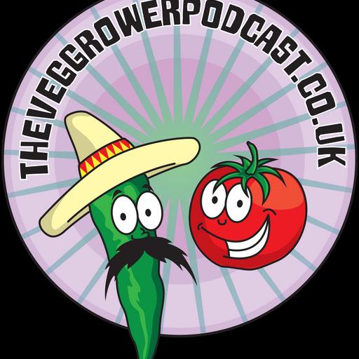 #614– Digging Deep: Soil Surprises, Straw Bale Success & Ladybird Swarms