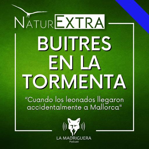 Buitres en la tormenta - NaturExtra. (07/2025) - Episodio exclusivo para mecenas