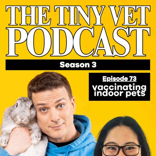 73: Vaccinating Indoor Pets