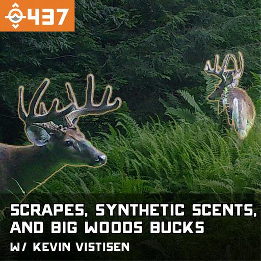 Ep. 437: How Scrapes and Synthetic Scents Affect Deer Hunting in the Big Woods w/ Kevin Vistisen