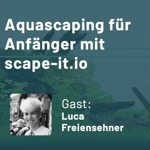 Aquascaping für Anfänger mit scape-it.io – Das Online-Tool für beeindruckendes Aquascaping mit Neuheiten (Luca Freiensehner)