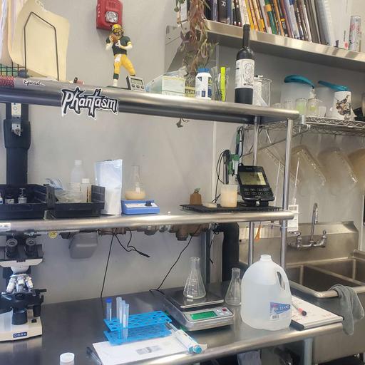 Episode 67: Improving your Beer Quality