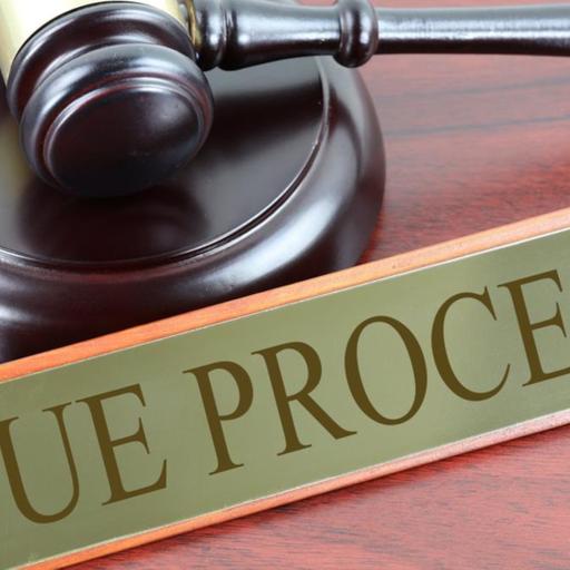 482 - Due Process Amendments