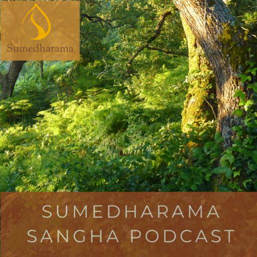 Dhamma Talk at Dhamma Vijaya — Ajahn Vajiro — 2025-05-28