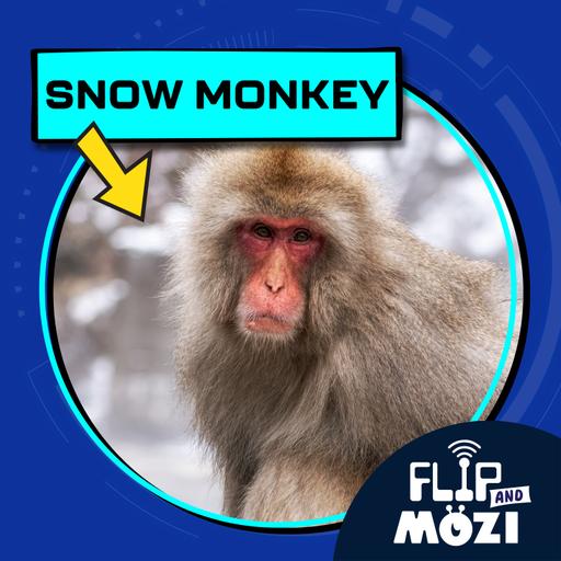 Snow Monkey (7/17/25)