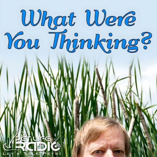 What Were You Thinking - Episode 93 Giant Silkworm Moths vs. the Feather Brains, Part Two