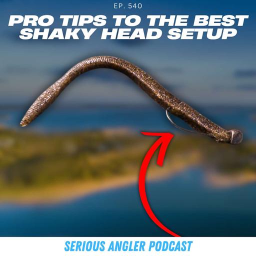 The Finesse Bait That Can Outfish a Wacky Rig!