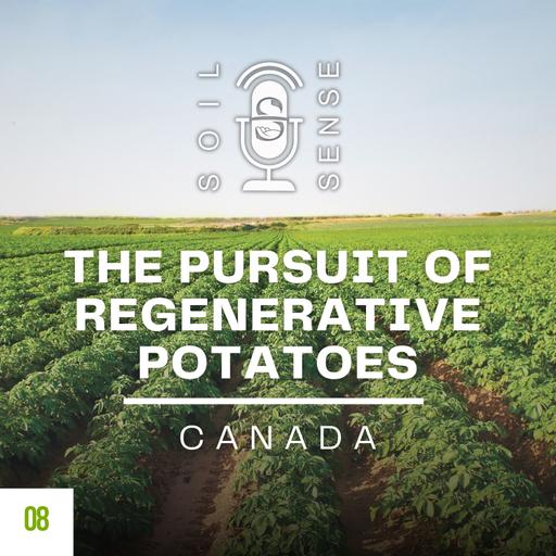 The Pursuit of Regenerative Potatoes in Canada