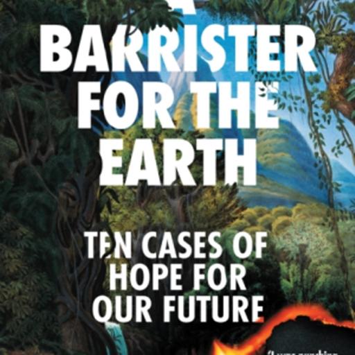 Ten Cases of Hope for Our Future w/ MONICA FERIA-TINTA - Highlights
