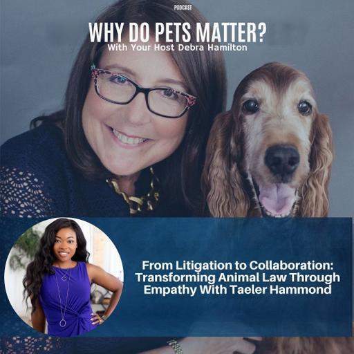 From Litigation to Collaboration: Transforming Animal Law Through Empathy