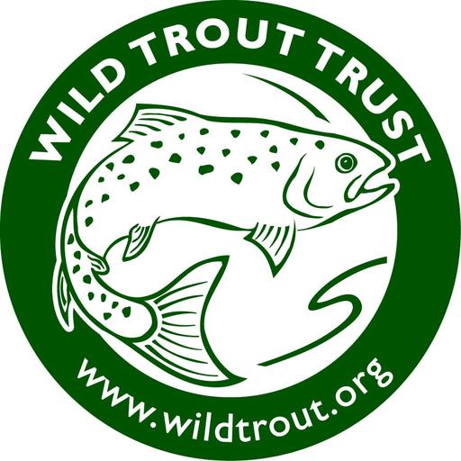 Wild Trout Trust With Shaun Leonard