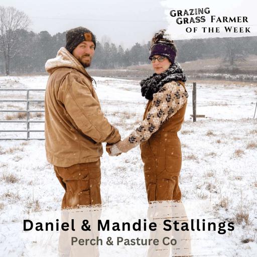 179. Commercial Homesteading with Heart with Daniel and Mandie Stallings