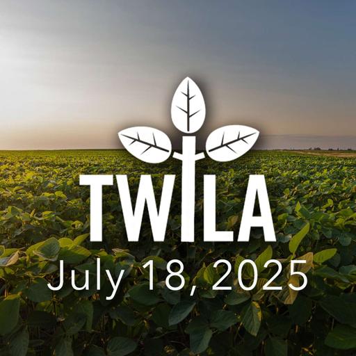 TWILA — July 18, 2025