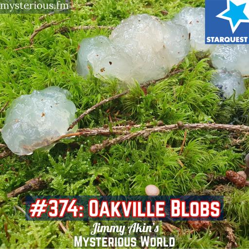 The Oakville Blobs – Jimmy Akin’s Mysterious World