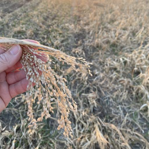 On Farm Trials ft. Eric Odberg and Joni Kindwall-Moore
