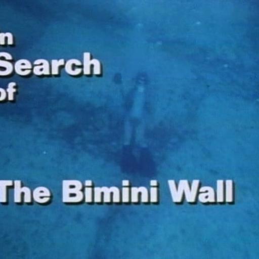 S04E22 - The Bimini Wall (Explicit)