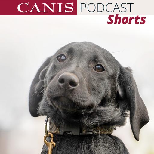 Shorts: Habituation – Warum Gewöhnung so wichtig ist