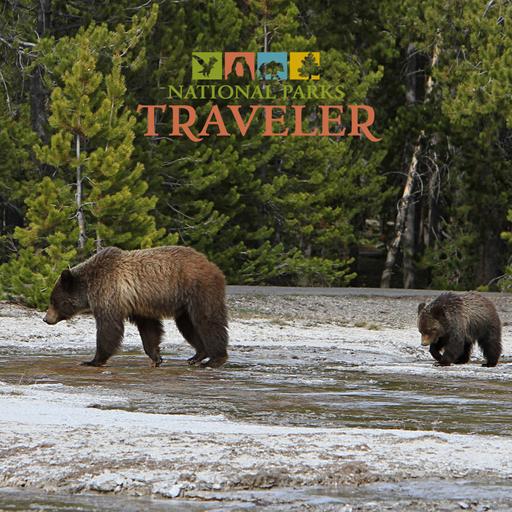 National Parks Traveler Podcast | The Future of Grizzly Bears