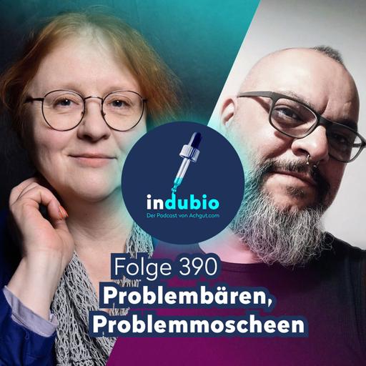 Flg. 390 - Problembären, Problemmoscheen
