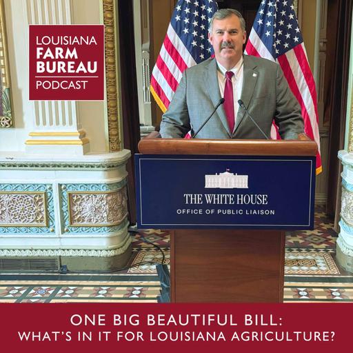 One Big Beautiful Bill: What's In It For Louisiana Agriculture?