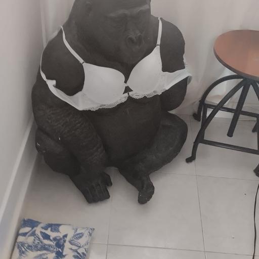 Alberto, limpiador de apartamentos turísticos, se encontró con una estatua muy curiosa