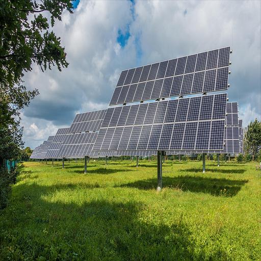 Solarstrom führt in der EU | Solarthermie-Anlage fertig | Früherkennung von MS | Hamburg entsiegelt | Katzen hören zu