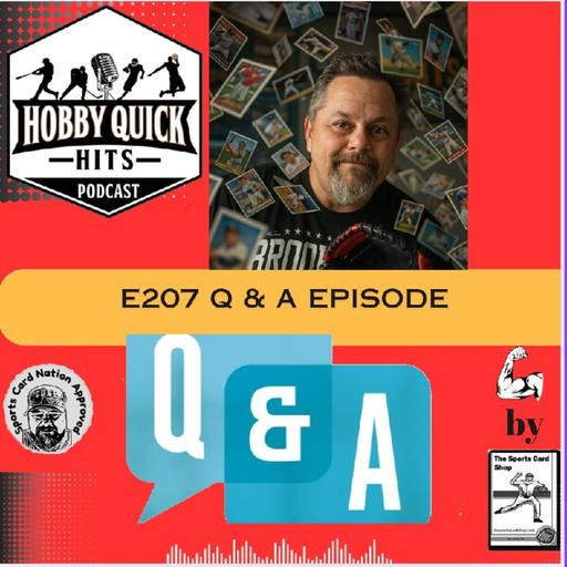 Q & A Time Again! Hobby E207