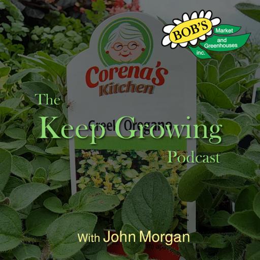 July 19, 2025 Weekly Gardening Guide