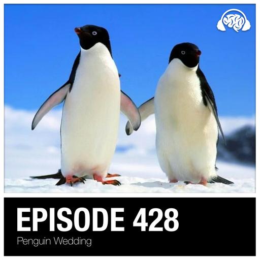428: Penguin Wedding