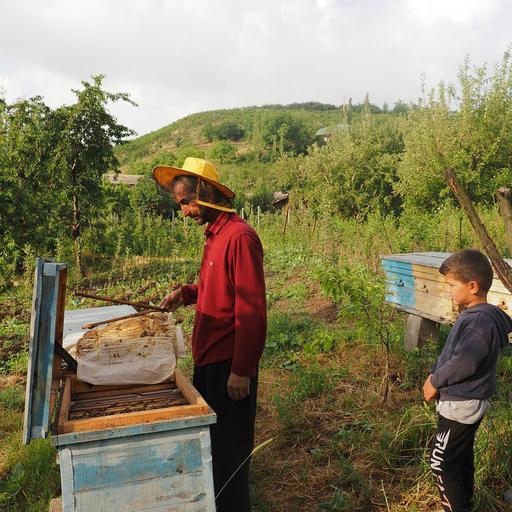 La FAO en bref – 21 juillet 2025