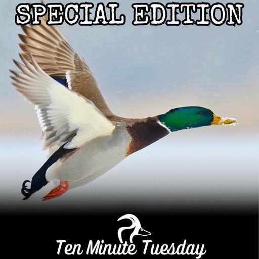 Say What; Special Edition