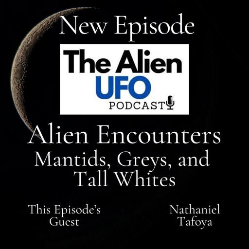 Alien Encounters: Mantids, Greys, and Tall Whites